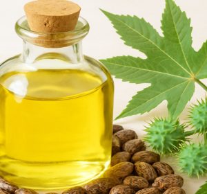 Glass of castor oil with castor beans and plant